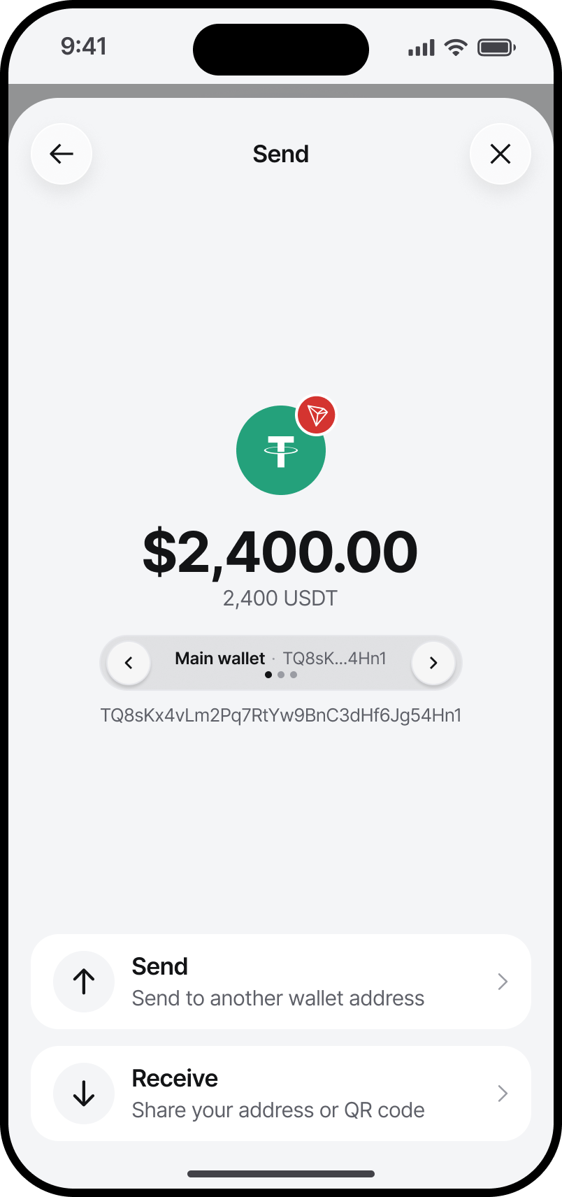 Eldo Wallet Send screen